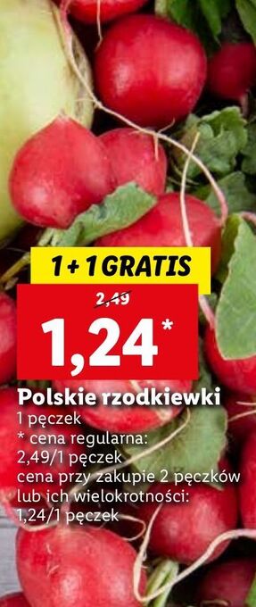 Lidl Rzodkiewka oferta