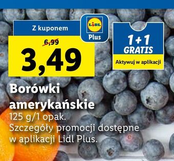 Lidl Borówki amerykańskie oferta