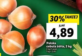 Lidl Cebula oferta
