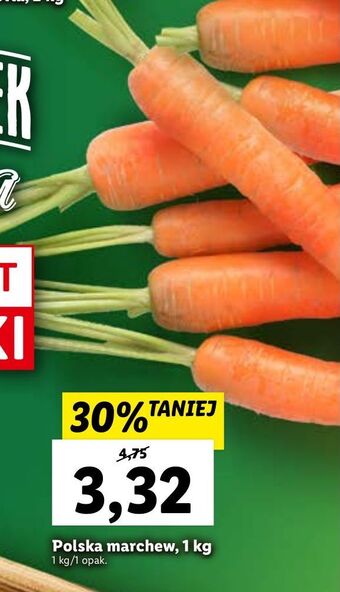 Lidl Marchewka oferta