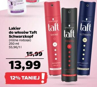 Netto Lakier do włosów taft power oferta