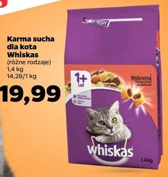 Netto Karma dla kota z wołowiną whiskas oferta