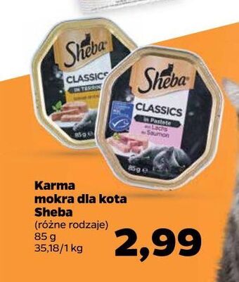 Netto Karma dla kota z łososiem sheba classics oferta