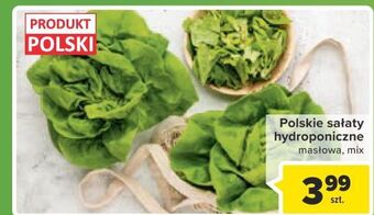 Carrefour Market Sałata masłowa oferta