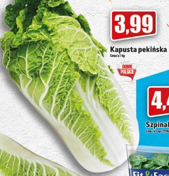 Topaz kapusta pekińska 1kg oferta