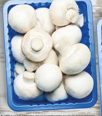 Topaz Pieczarki oferta