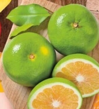 Grejpfrut