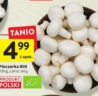 Intermarche Pieczarki oferta