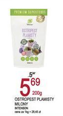 E.Leclerc Ostropest plamisty mielony intenson oferta