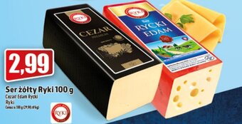 Topaz Ryki ser żółty edam 100g oferta