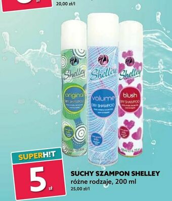 Dealz Suchy szampon shelley oferta