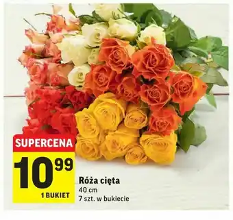 Intermarche Róża cięta oferta