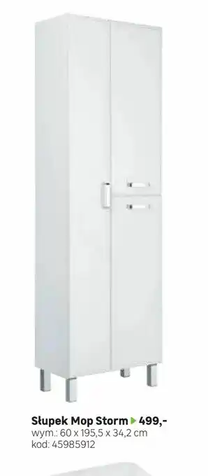Leroy Merlin Słupek Mop Storm oferta