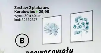 Leroy Merlin Zestaw 2 plakatów Koralowiec oferta