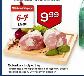 Lewiatan Golonka z indyka oferta