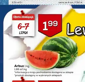 Lewiatan Arbuz oferta
