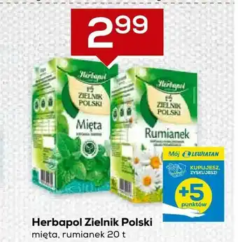 Lewiatan Herbapol Zielnik Polski oferta
