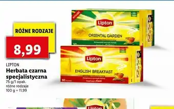 Lidl Herbata czarna specjalistyczna oferta