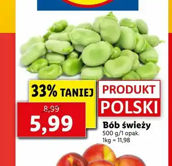 Lidl Bób świeży oferta