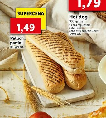 Lidl Paluch panini oferta