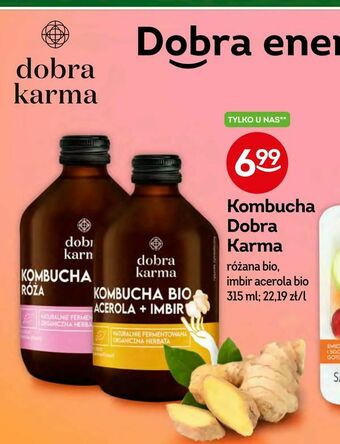Żabka Kombucha Dobra Karma oferta