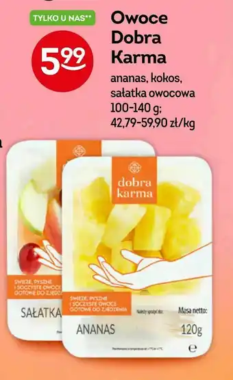 Żabka Owoce Dobra Karma oferta