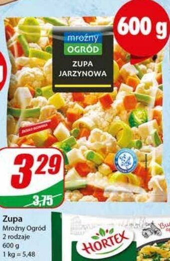 Dino Zupa jarzynowa mroźny ogród oferta
