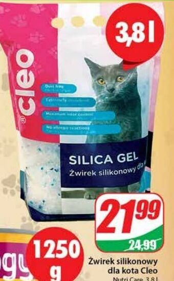 Dino Żwirek silikonowy dla kota cleo oferta