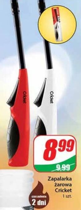 Dino Zapalarka żarowa cricket oferta
