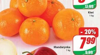 Dino Mandarynki oferta