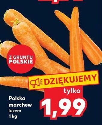 Kaufland Marchewka oferta