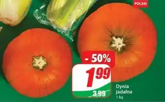 Dino Dynia jadalna oferta