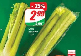 Dino Seler naciowy oferta