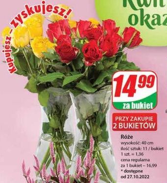 Dino Róże 40 cm oferta