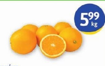 Euro Sklep Pomarańcza oferta