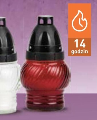 Stokrotka Market Znicz oferta