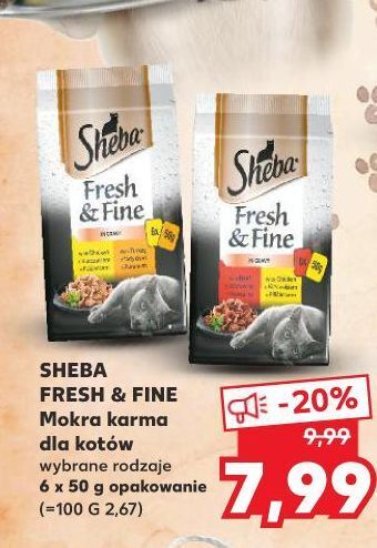 Kaufland Karma dla kota z kurczakiem wołowiną kaczką sheba fresh & fine oferta