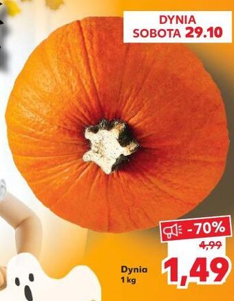 Kaufland Dynia oferta