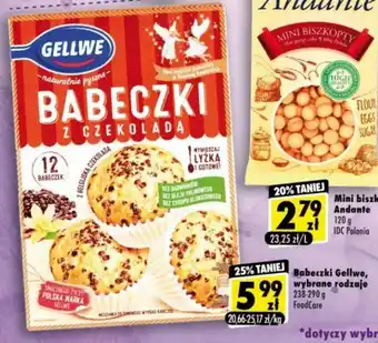 Nasze sklepy FoodCare babeczki gellwe 238-290g oferta