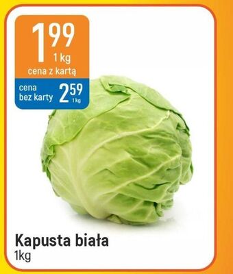 E.Leclerc Kapusta biała oferta