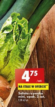 Biedronka Sałata rzymska mini oferta