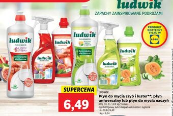 Lidl Płyn uniwersalny melon i ogórek ludwik oferta