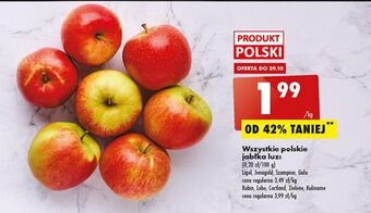 Biedronka Jabłka lobo oferta