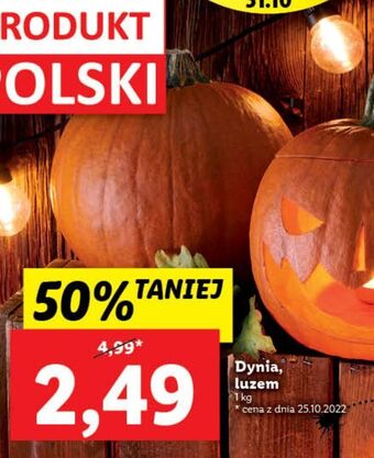 Lidl Dynia oferta