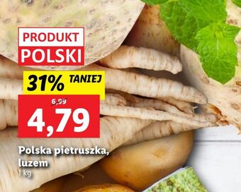 Lidl Pietruszka oferta