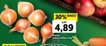 Lidl Cebula żółta oferta