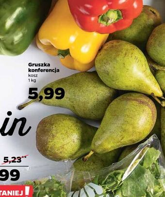 Netto Gruszka konferencja oferta