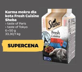 Netto Karma mokra dla kota fresh cuisine sheba oferta