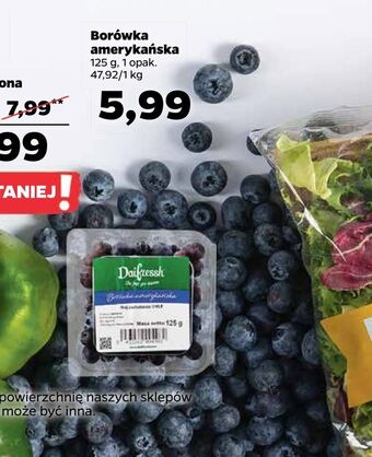 Netto Borówka amerykańska oferta