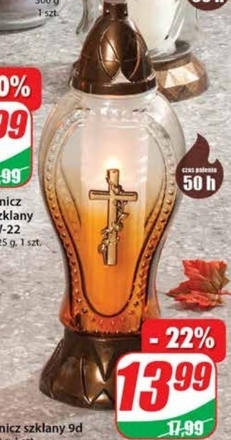 Dino Znicz oferta